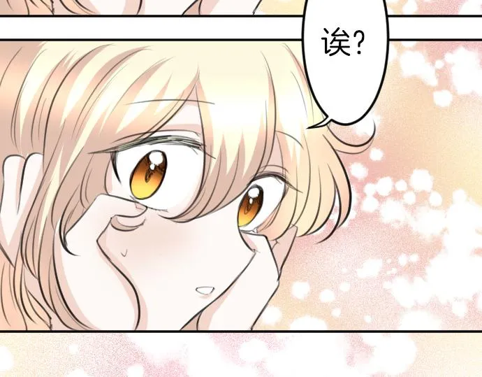 完结篇兑现约定之日 第95页