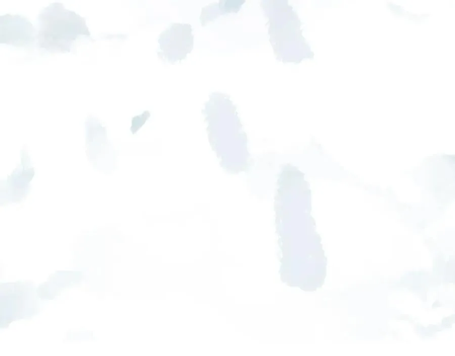 第57话 他的过去 第77页