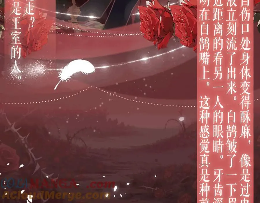 特典预热：吸血鬼终于找到了只属于他的小王子 第7页