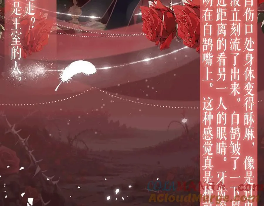 特典预热：6月29日 吸血鬼终于找到了只属于他的小王子 第7页