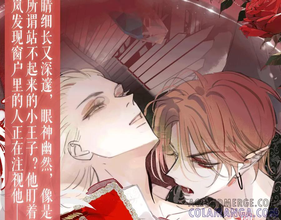 特典公开：6月29日 吸血鬼终于找到了只属于他的小王子 第5页