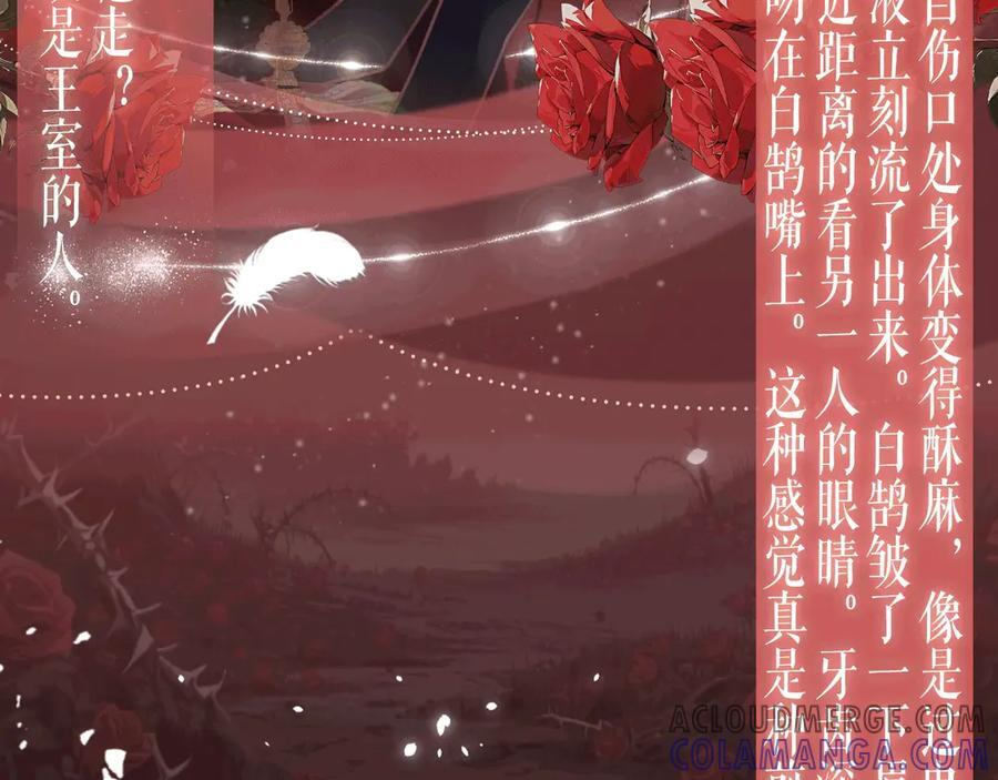 特典公开：6月29日 吸血鬼终于找到了只属于他的小王子 第7页