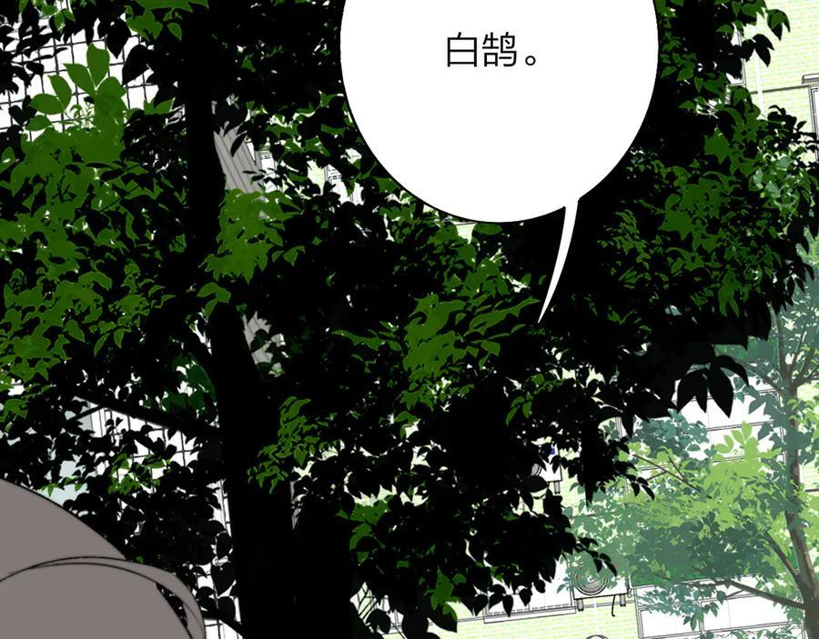 第110话 分开？！真的假的…… 第77页