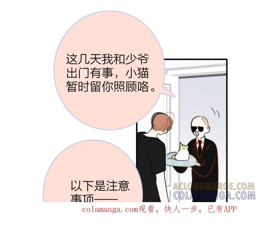 小剧场 猫猫，皇上 第1页