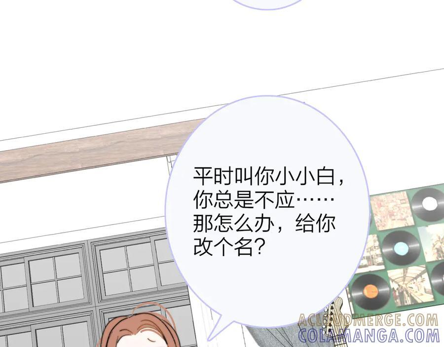 小剧场 猫猫，皇上 第3页