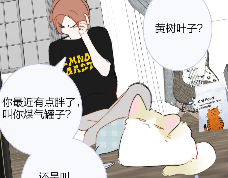 小剧场 猫猫，皇上 第6页