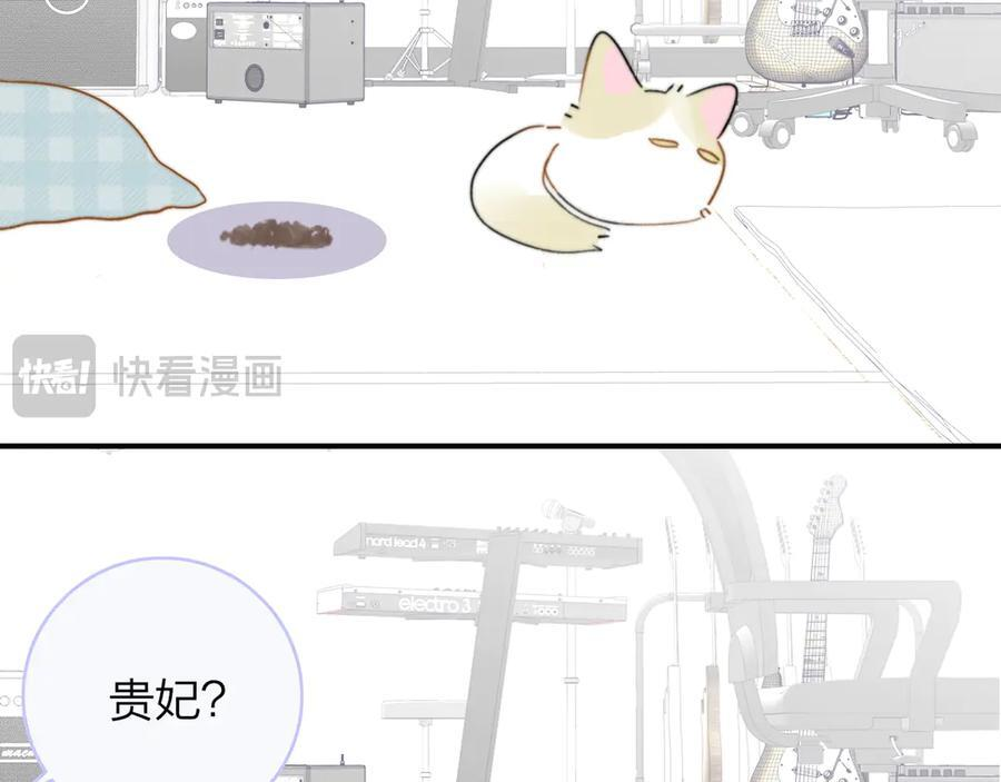 小剧场 猫猫，皇上 第8页