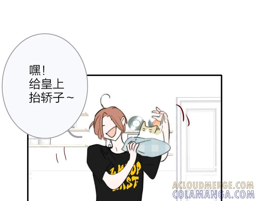 小剧场 猫猫，皇上 第13页