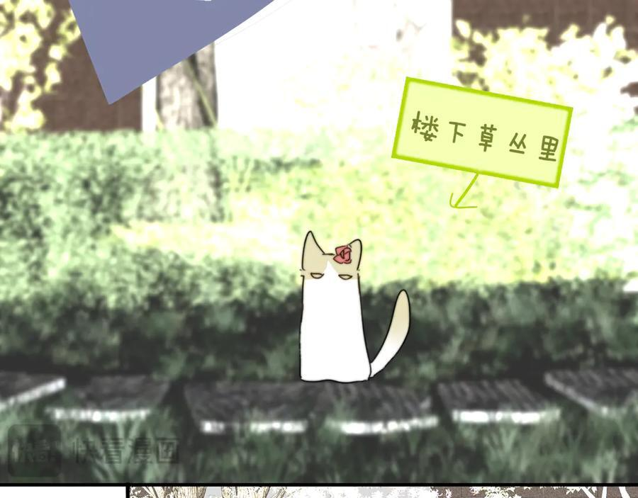 小剧场 猫猫，皇上 第18页