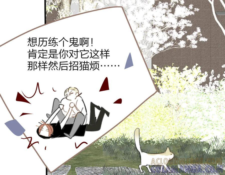 小剧场 猫猫，皇上 第19页