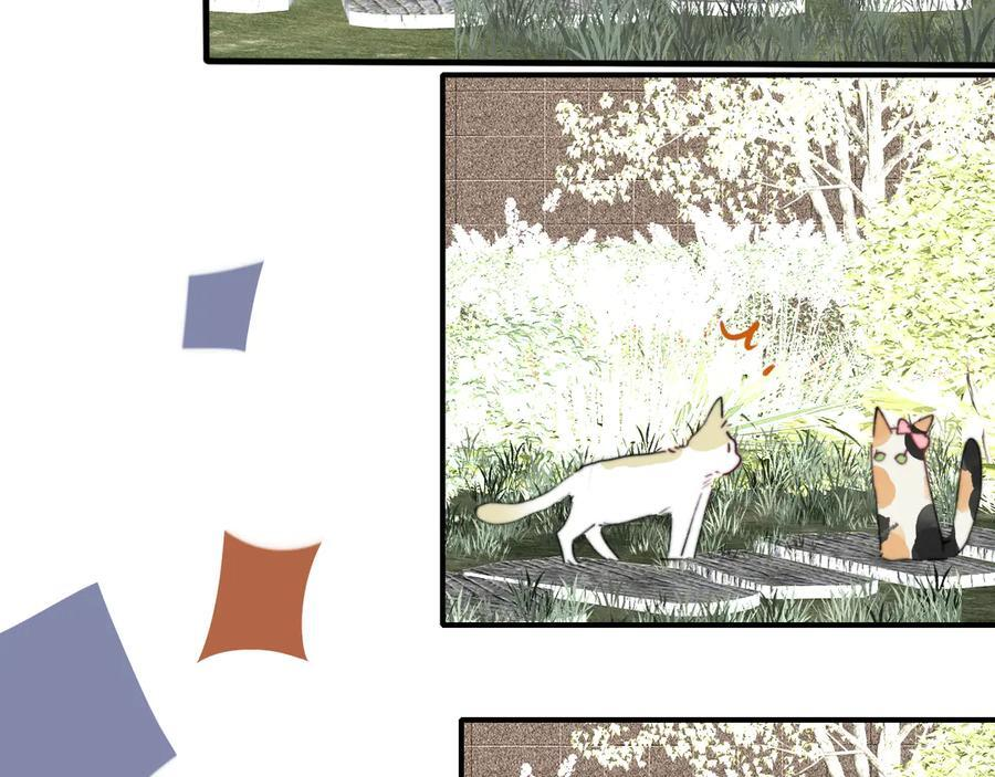 小剧场 猫猫，皇上 第20页
