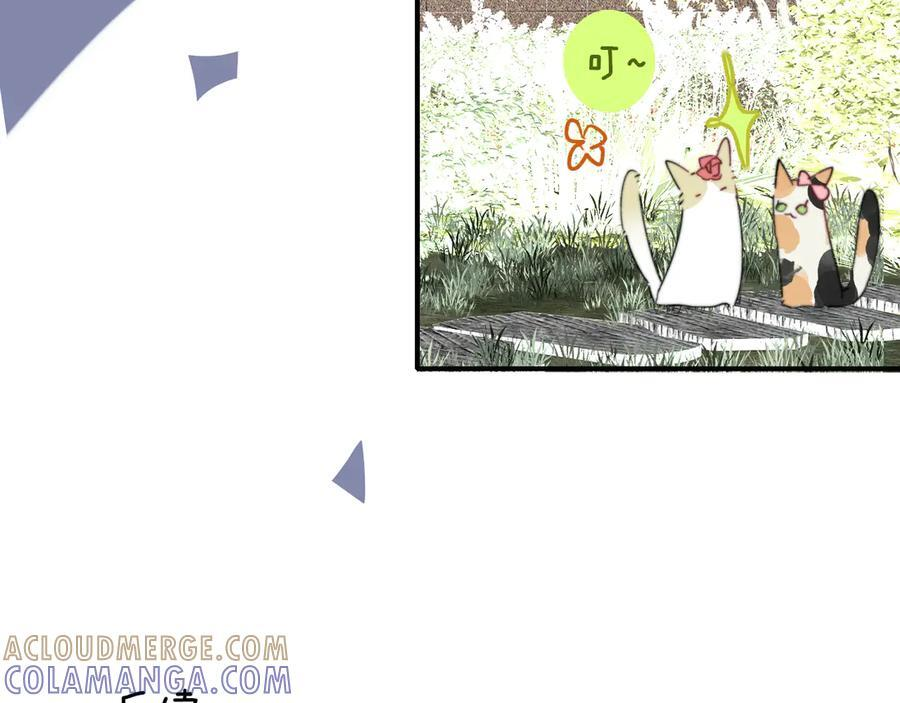 小剧场 猫猫，皇上 第21页