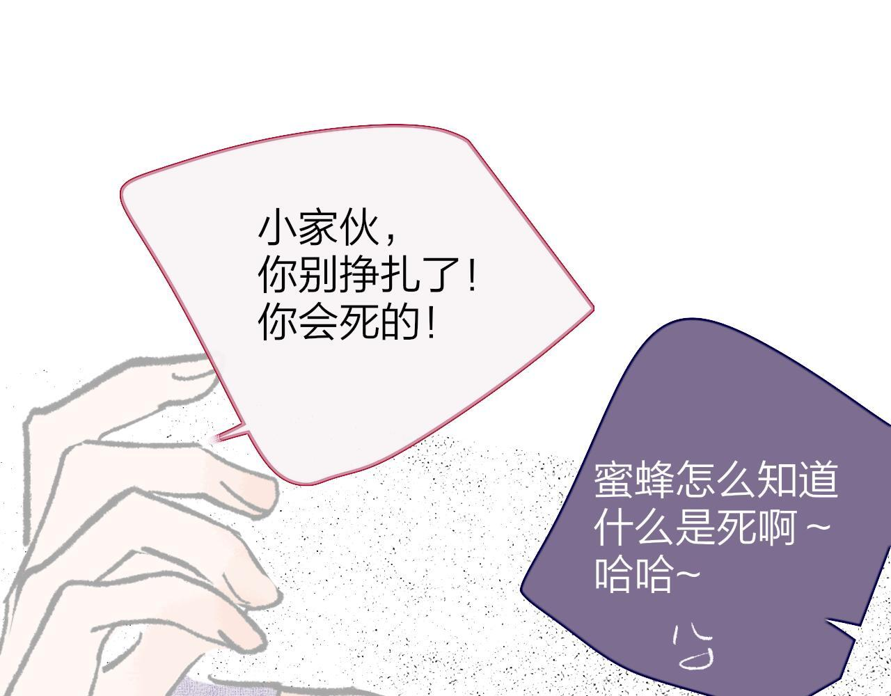 小剧场 我是一只小蜜蜂岚 第13页