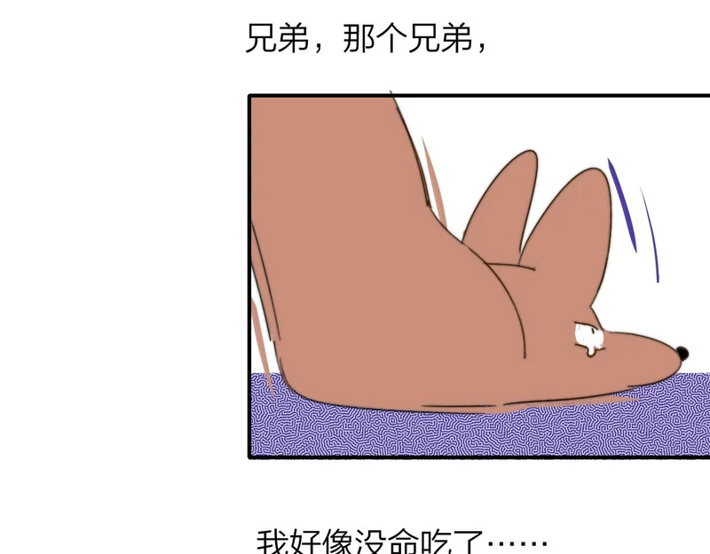 小剧场 哪只小狐狸是我老婆？ 第25页