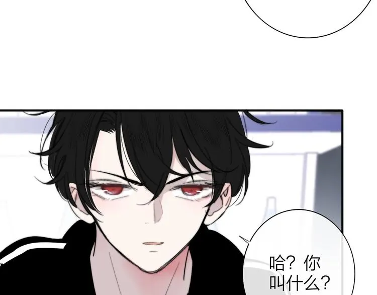 第33话 曾经的偶像 第64页