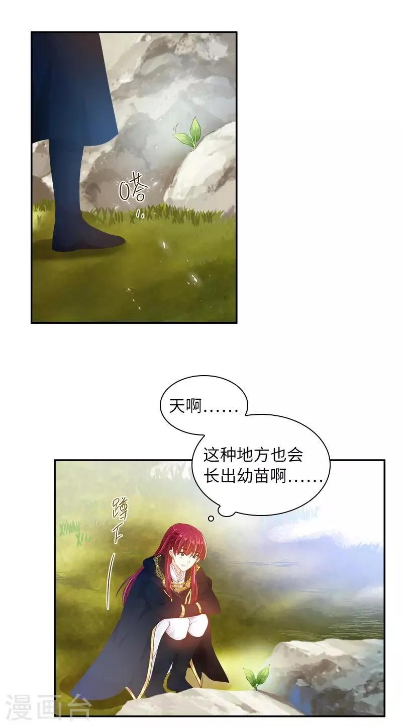 第78话 一起带来的春天 第37页