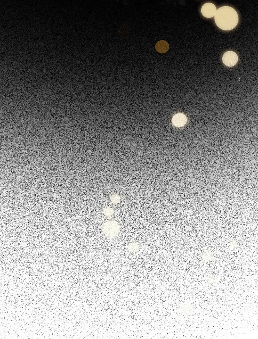 87 红白玫瑰 第52页