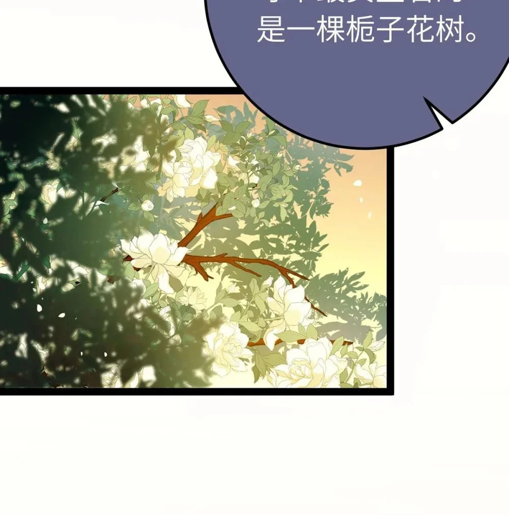 151 实现的愿望 第5页