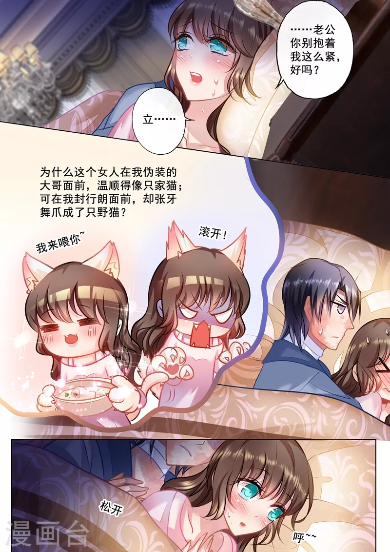 第27话 温顺家猫VS爆娇野猫 第5页