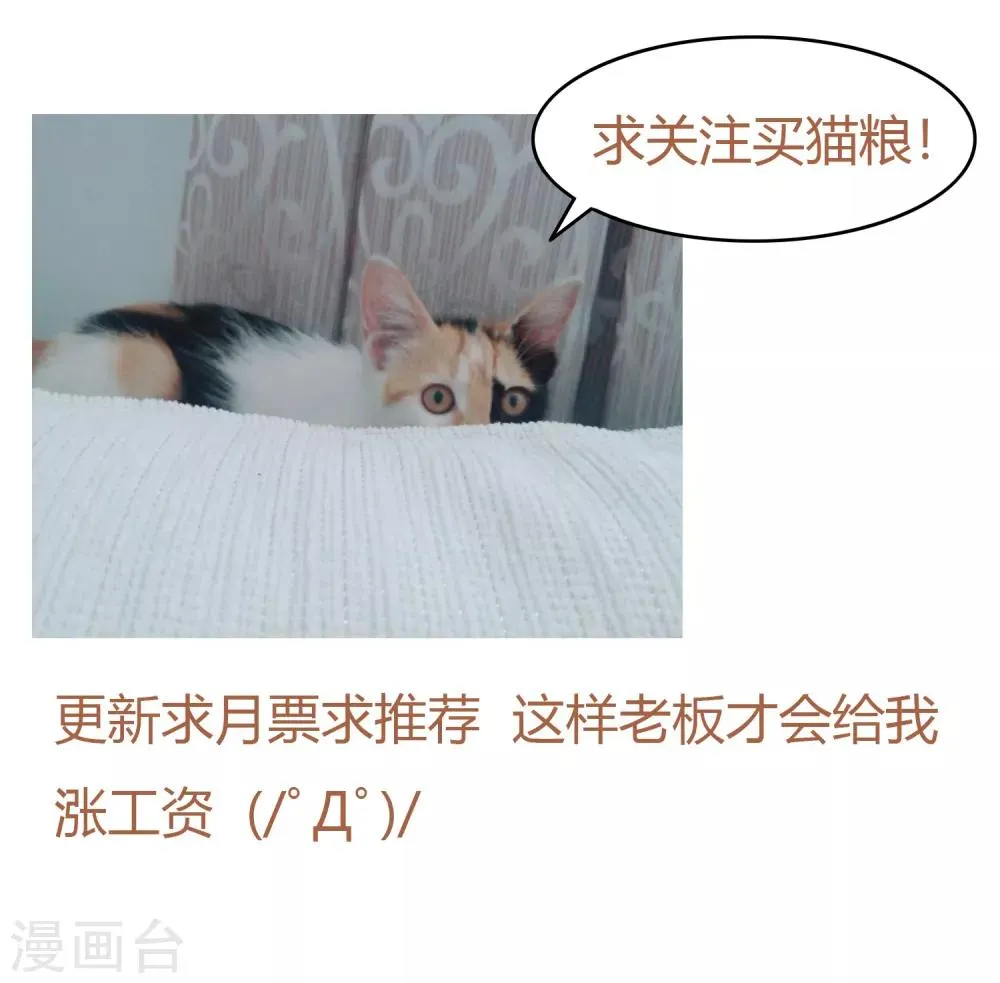 第67话 别自作多情了 第13页