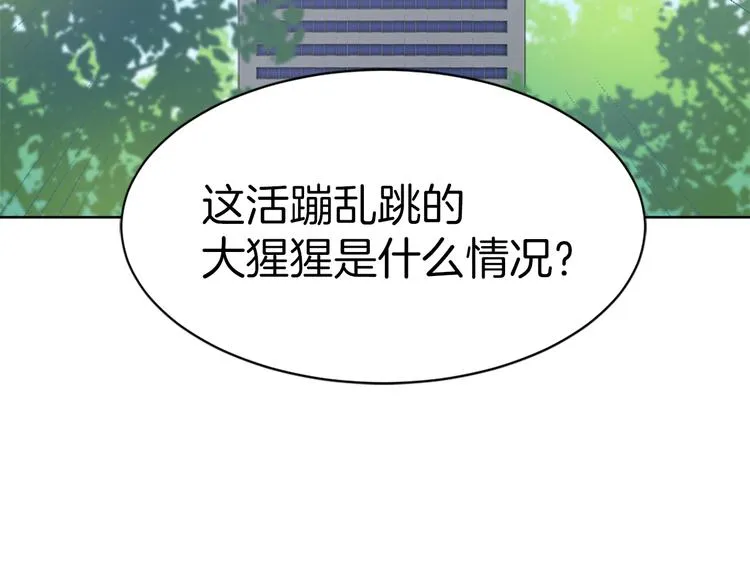 第15话 求爱舞 第14页