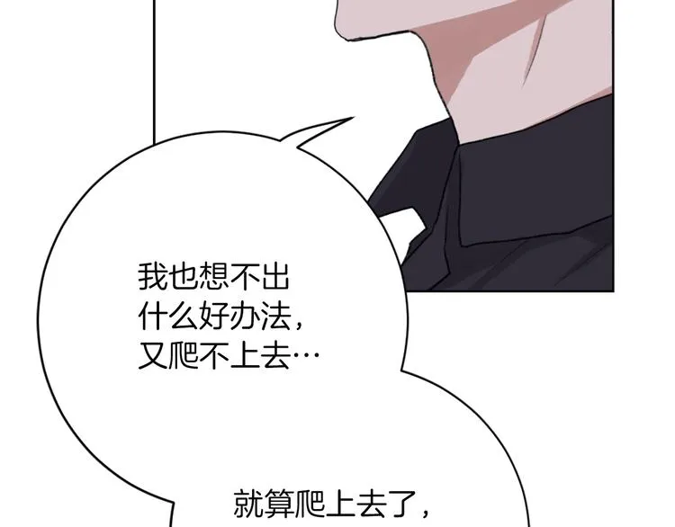 第15话 求爱舞 第37页