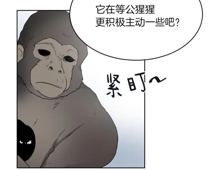 第15话 求爱舞 第70页
