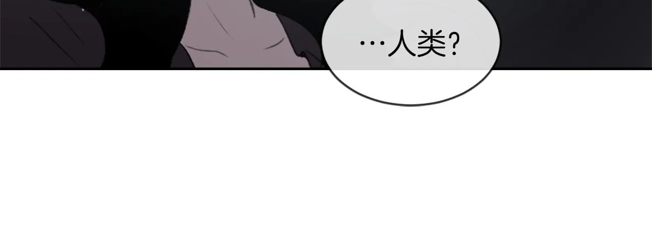 第64话 营救行动开始 第24页