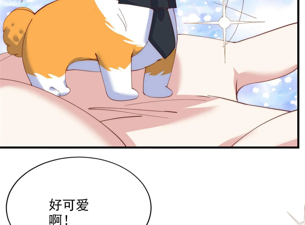 73 第12页