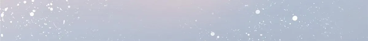 79 第78页