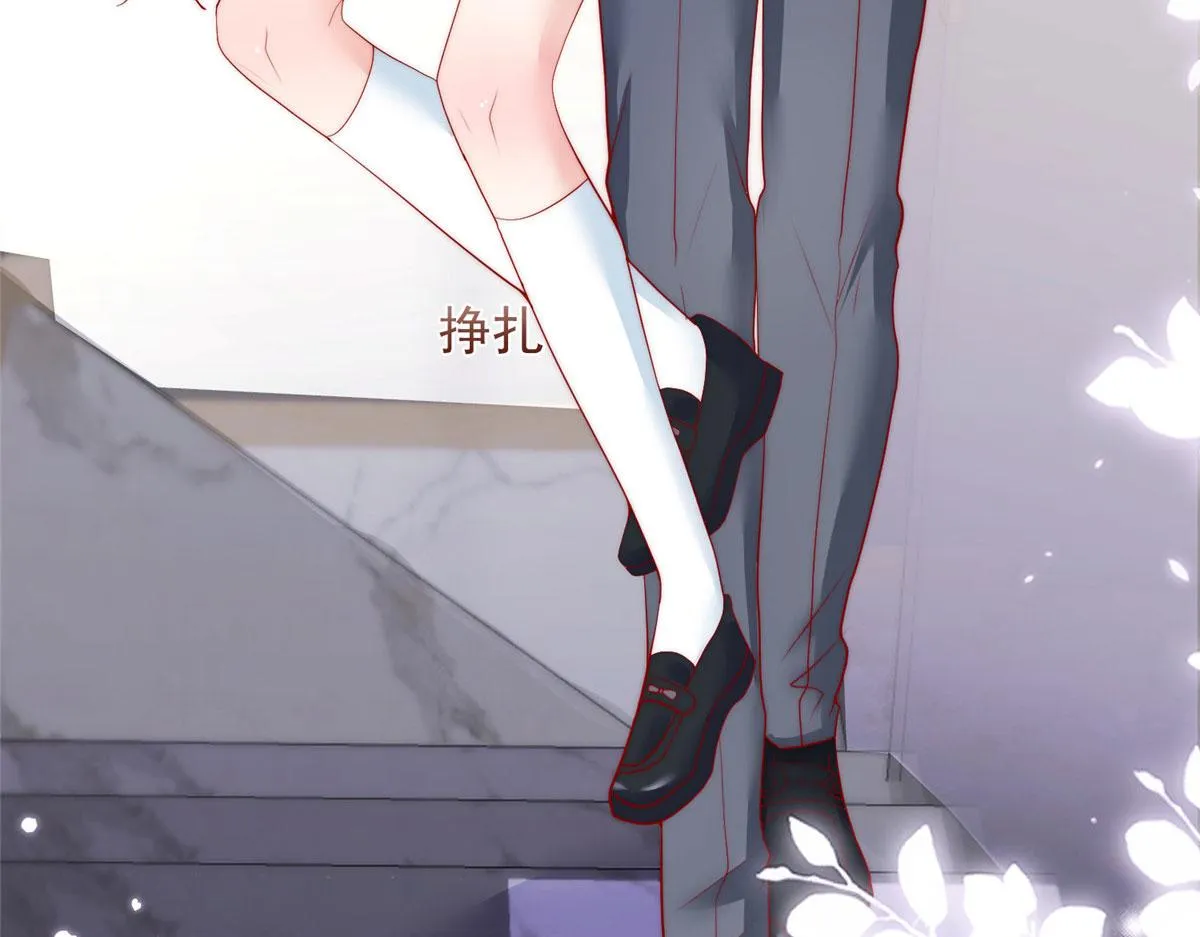 84 第67页