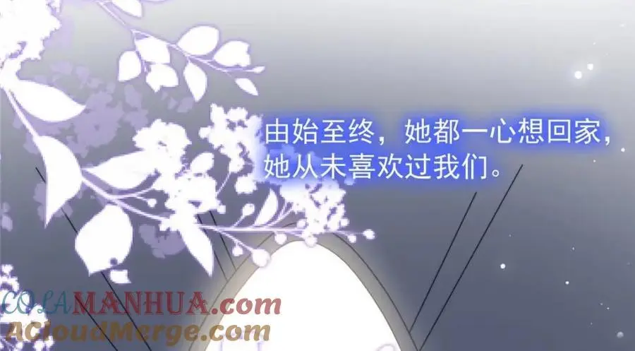 185 第31页