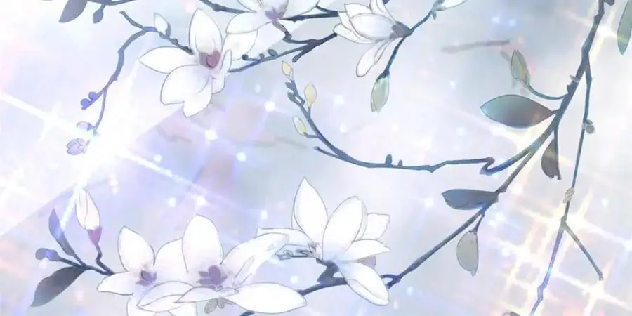 186 第48页