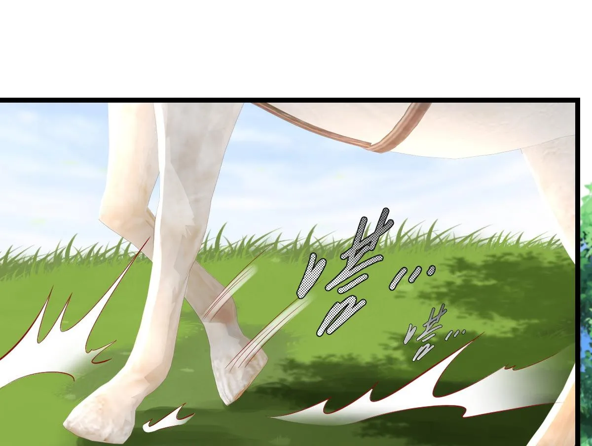 49 第66页