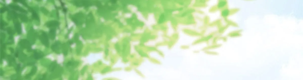 46 第81页
