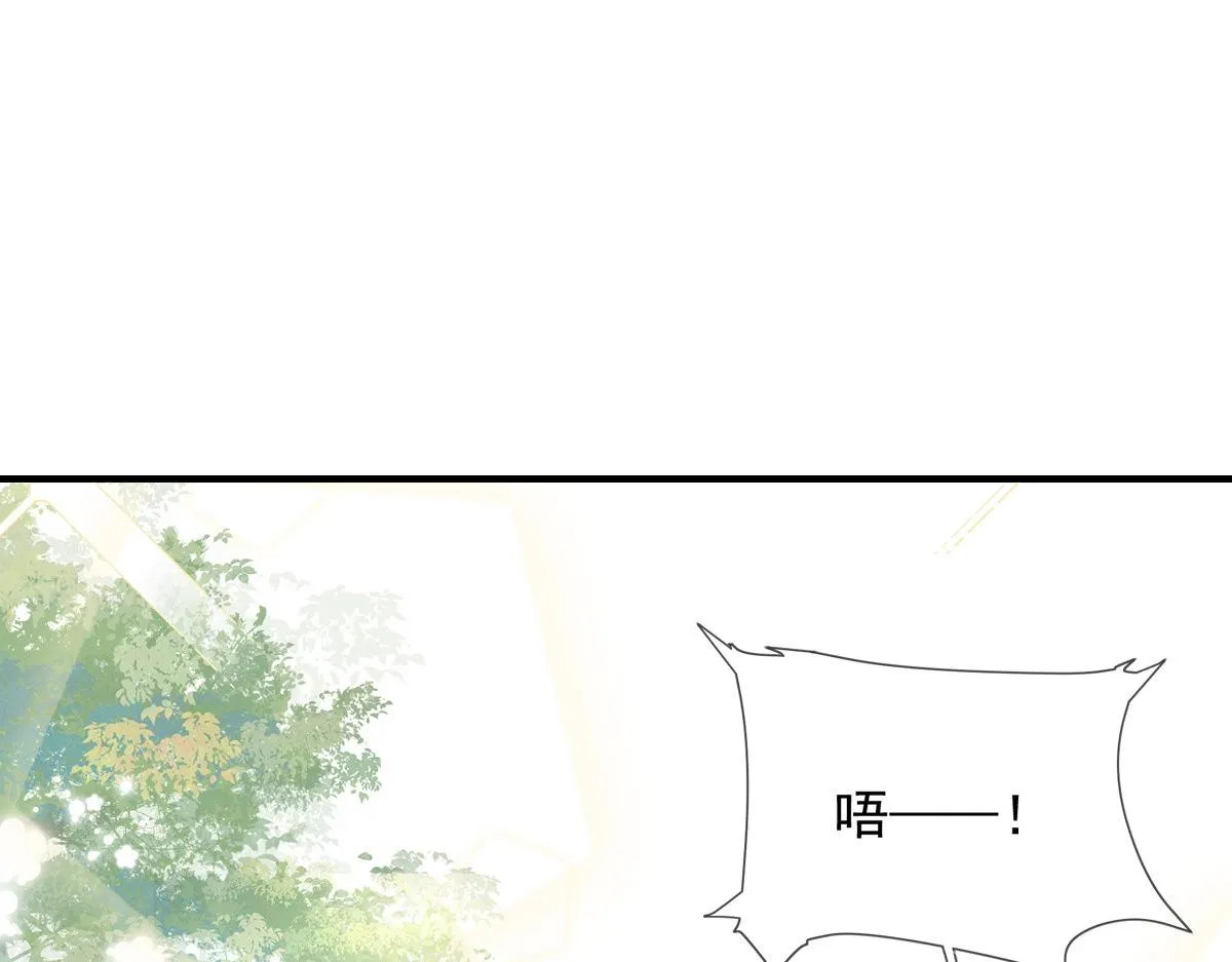 44 第23页