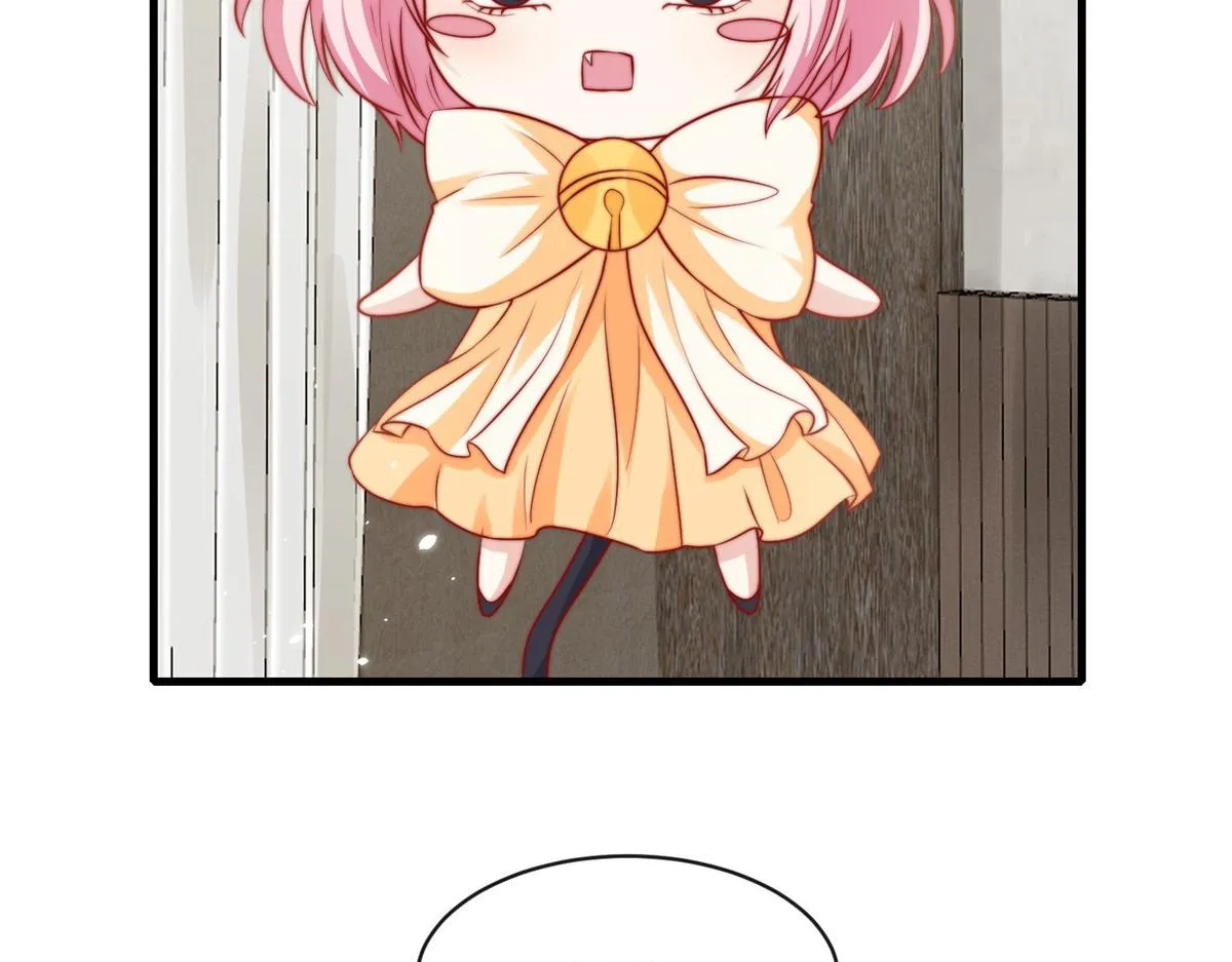 41 第17页