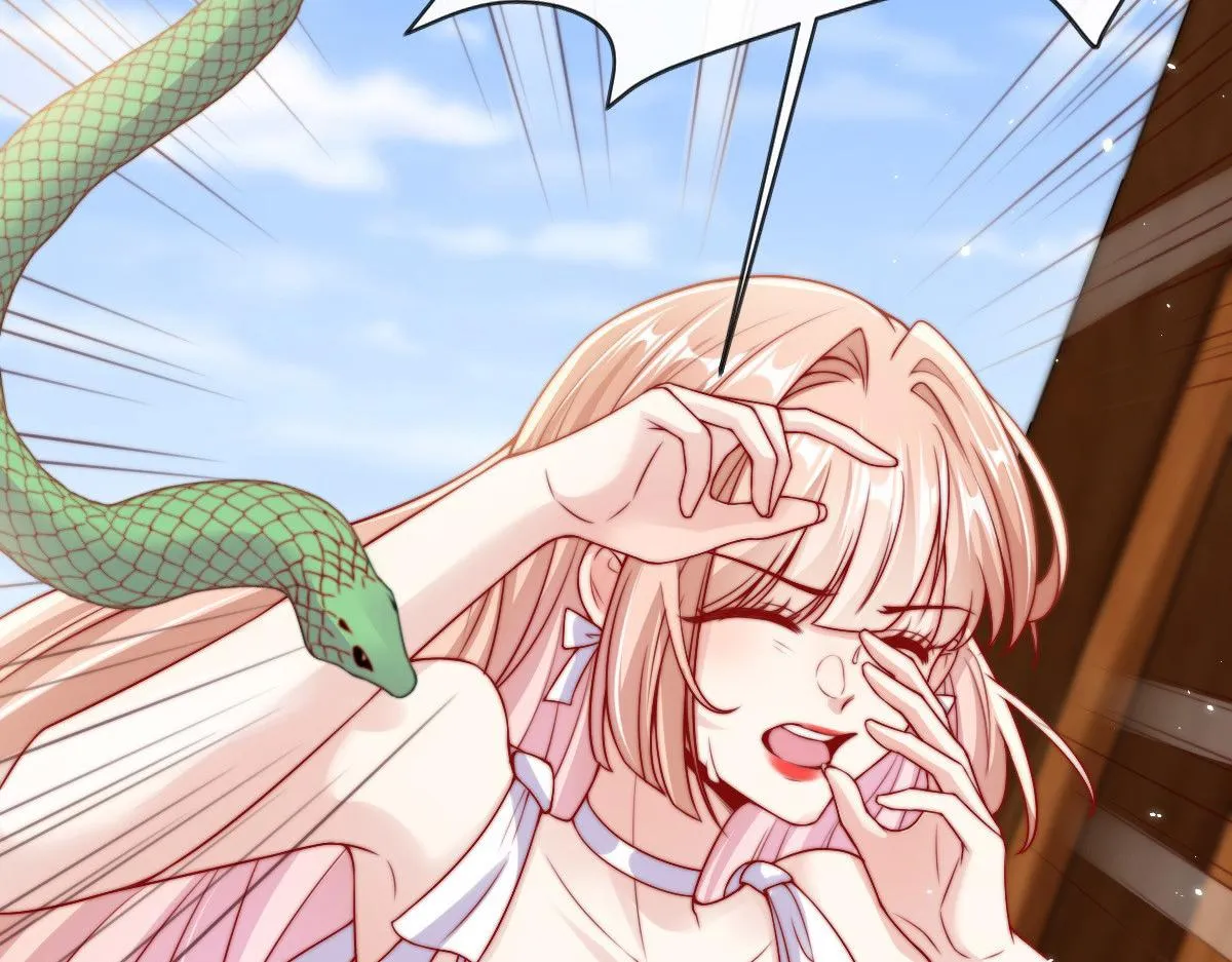 26 第62页