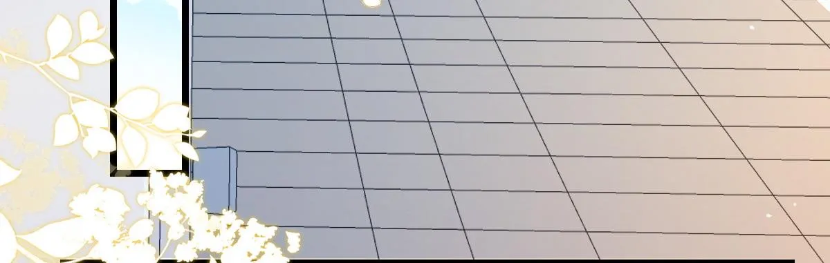 10 第12页