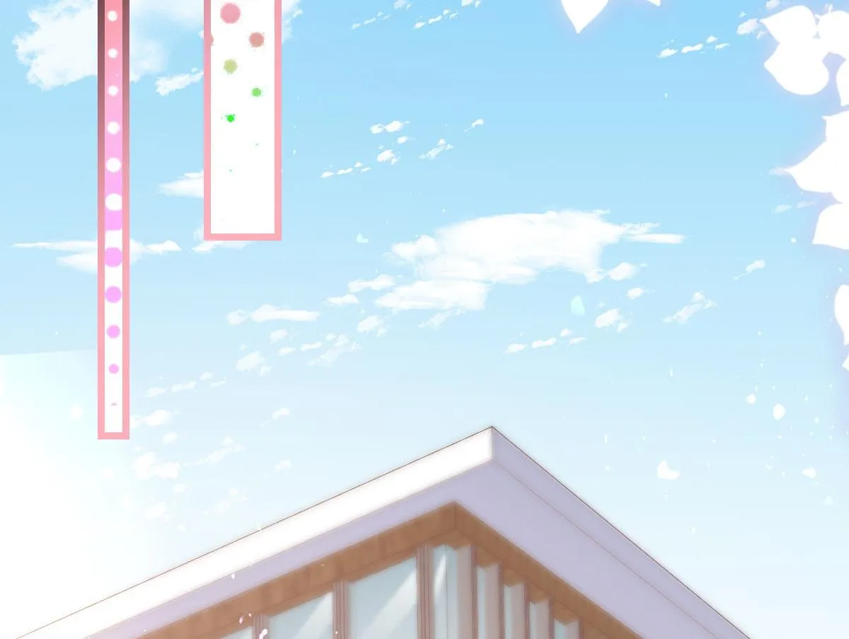 8 第11页