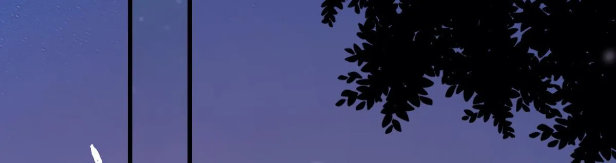 8 第114页