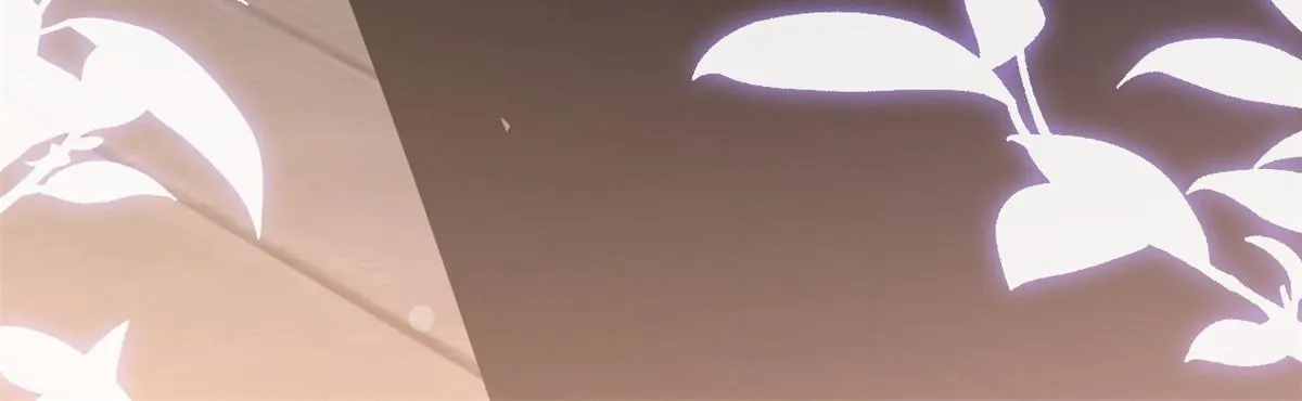 5 第116页
