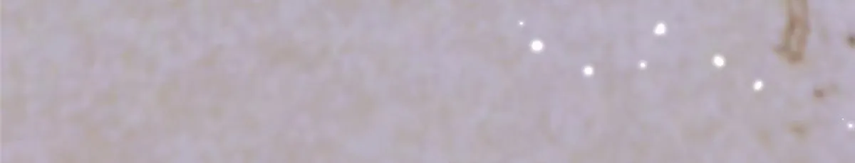 60 第15页