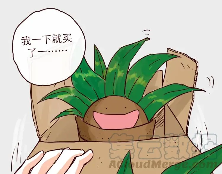 完结篇 我们在一起 第31页