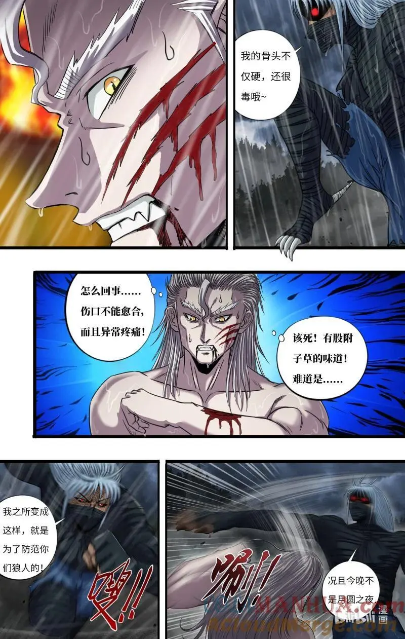 279 第277话（狼王VS白鹭） 第4页
