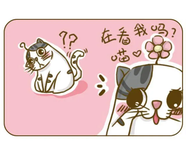 铲屎君觉得你冷 第1页