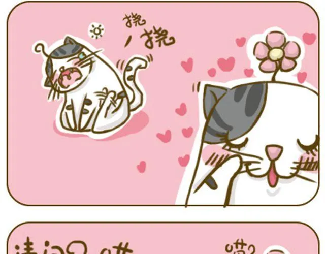 铲屎君觉得你冷 第2页