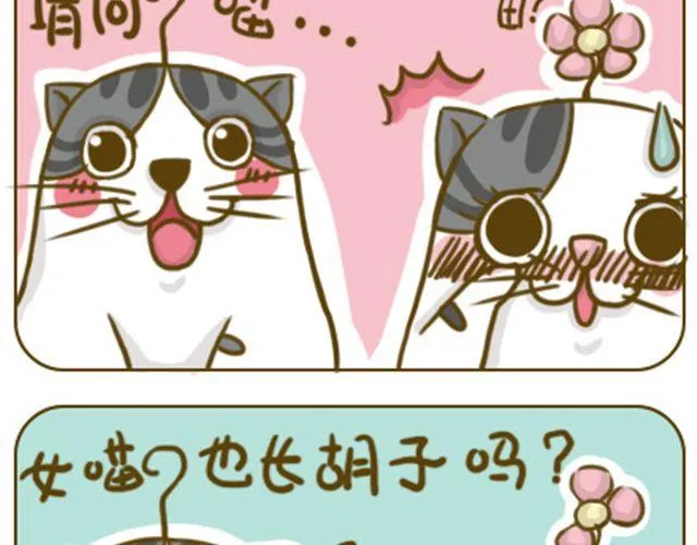 铲屎君觉得你冷 第3页