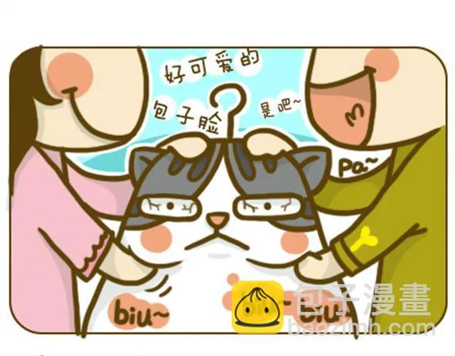 铲屎君觉得你冷 第13页