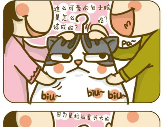 铲屎君觉得你冷 第14页